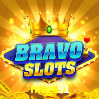 Premium Interface mega91